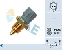Load image into Gallery viewer, FAE 33430 Sonda, Temperatura Del Líquido Refrigerante

