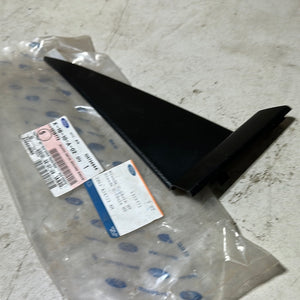 Moulding - Door Window Frame: 1319772 FORD