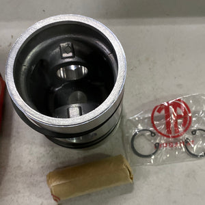 Piston Set DITER 6254124 80.87+0.14mm